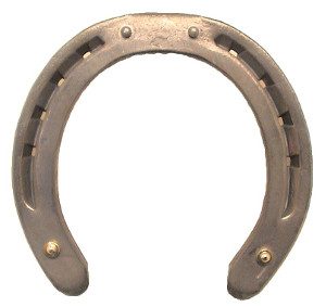 horseshoe studs